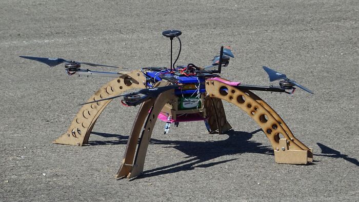 Drone Ikran